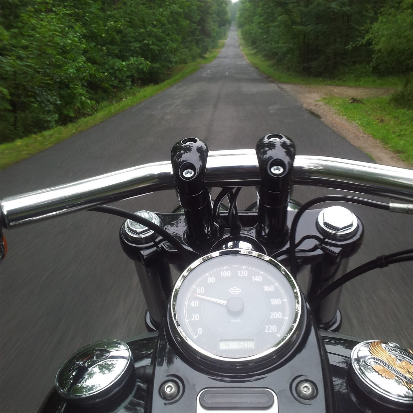 Blick über den Motorradlenker auf eine Straße im Grünen